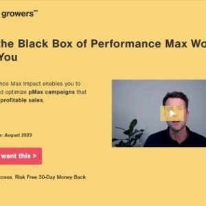Performance Max Impact Search - Dennis Moons (Store Growers)