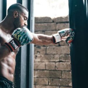 library-of-adonis-hamza